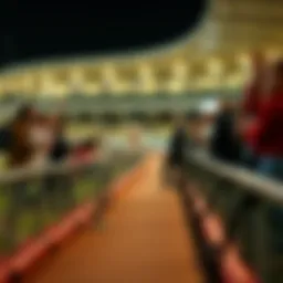 A greyhound racing track with excited spectators